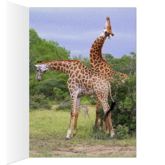 Giraffes Card (Inside (Right))