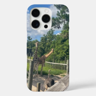 Giraffes iPhone 16 pro case