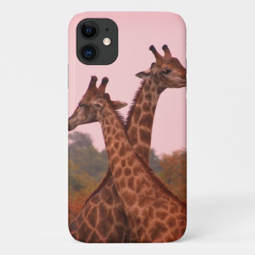 Giraffes iPhone 11 Case