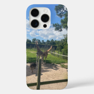 Giraffes  iPhone 16 pro case