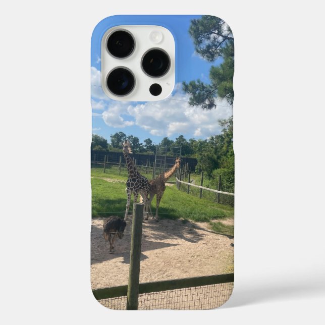 Giraffes  Case-Mate iPhone case (Back)