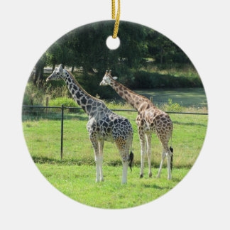 Giraffes Ceramic Ornament