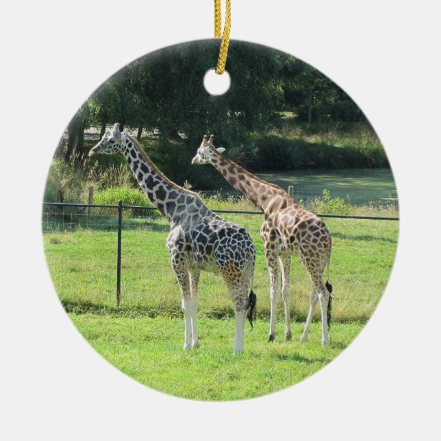 Giraffes Ceramic Ornament (Front)