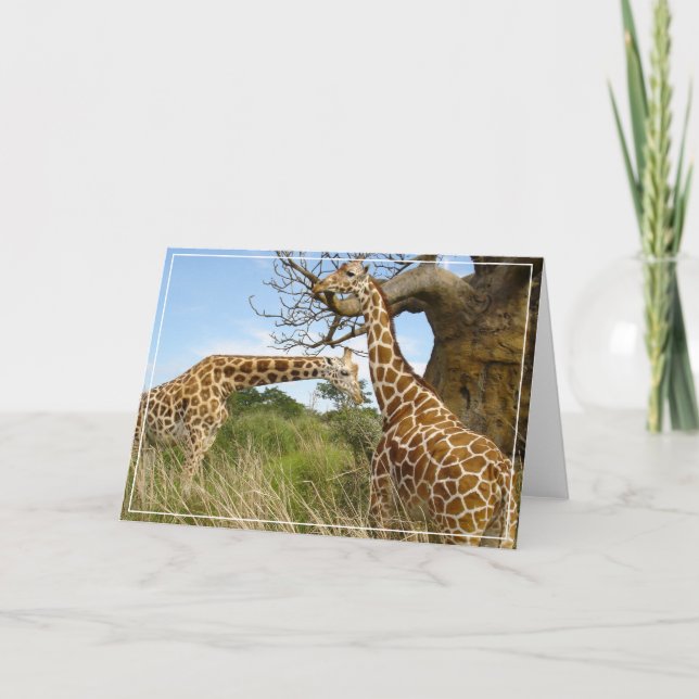 Giraffes Greeting Card (Front)