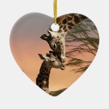 Giraffes Greeting Each Other Ceramic Ornament by saveena at Zazzle