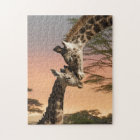 Giraffes Greeting Each Other