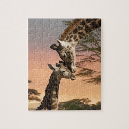 Giraffes Greeting Each Other Jigsaw Puzzle