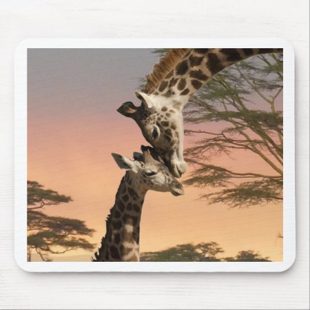 Giraffes Greeting Each Other Mouse Pad