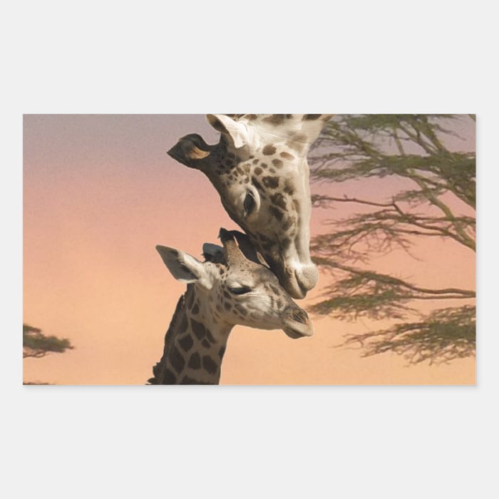 Giraffes Greeting Each Other Rectangle Sticker