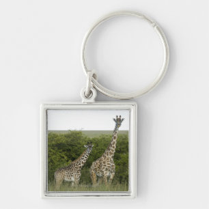 Giraffes in Kenya, Africa 2 Keychain