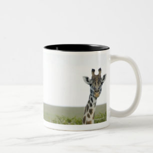 Giraffes in Kenya, Africa 2 Two-Tone Coffee Mug