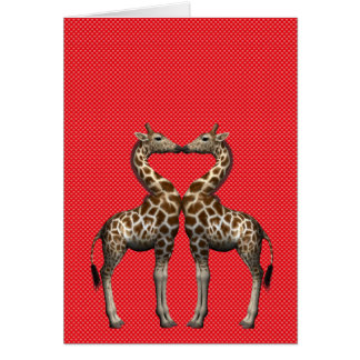 Giraffes In Love