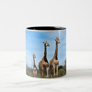 Giraffes in Open Sky View Two-Tone Coffee Mug