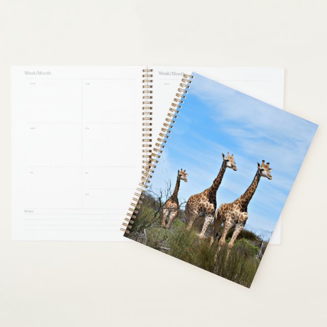 Giraffes in Peaceful Daybreak Planner (Display)