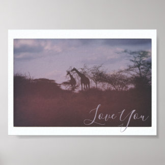 Giraffes in Wild Habitat Love You Poster