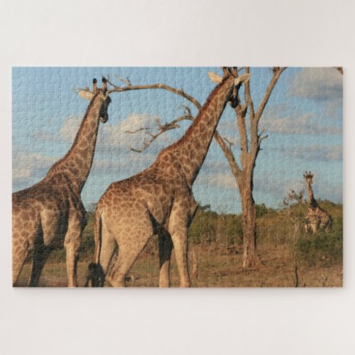 Giraffes Jigsaw Puzzle