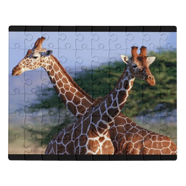 Giraffes Jigsaw Puzzle (Puzzle Horizontal)