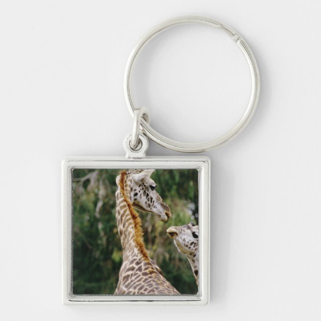 Giraffes Keychain (Front)