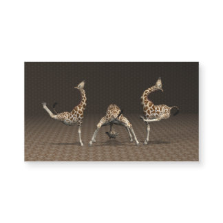 Giraffes Love Gymnastics