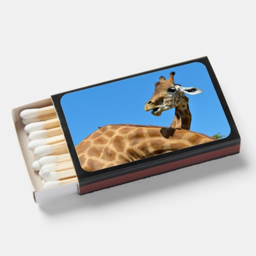 Giraffes on blue sky background matchboxes