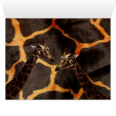 Giraffes On Giraffe Background, (Inside Horizontal (Bottom))