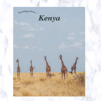 Giraffes On The Masai Mara National Reserve Kenya Postcard by NorthernPrint at Zazzle