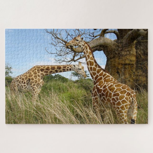 Giraffes out in the african field by some trees jigsaw puzzle (Horizontal)
