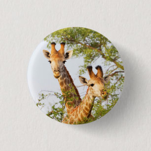Giraffes Peeking Above Vegetation Button