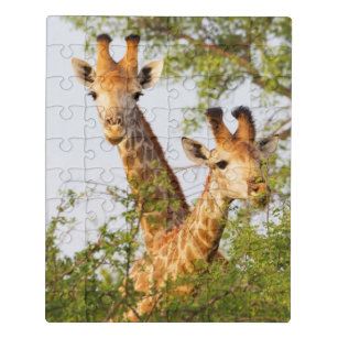 Mini puzzle girafe - puzzle enfant - 9 pièces