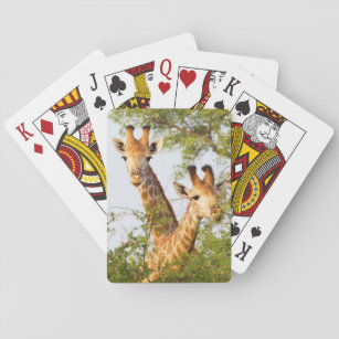 Giraffes Peeking Above Vegetation Playing Cards