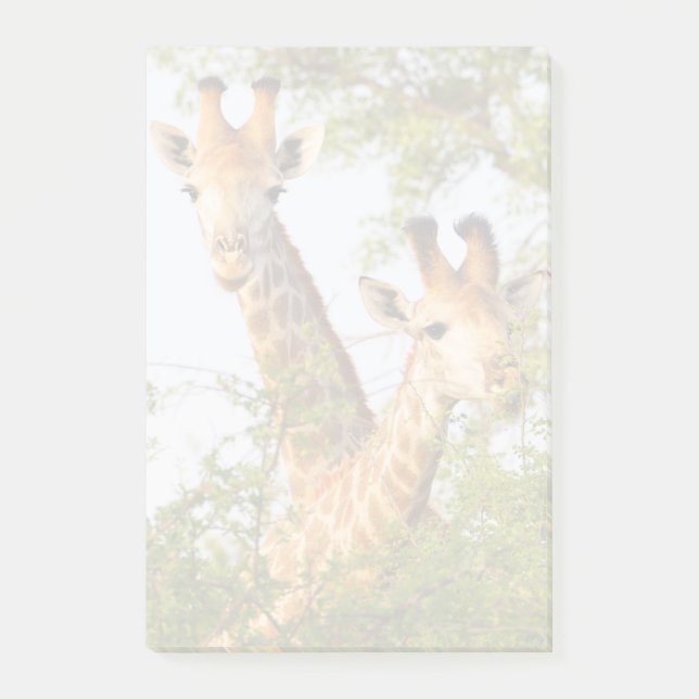 Giraffes Peeking Above Vegetation Post-it Notes (Front)