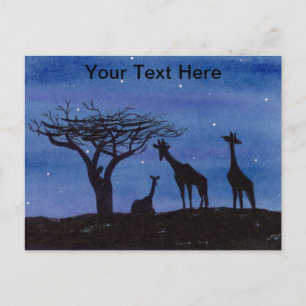 Giraffes Postcard