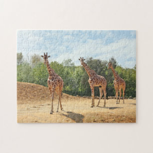 Giraffes Puzzle