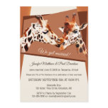 Giraffes