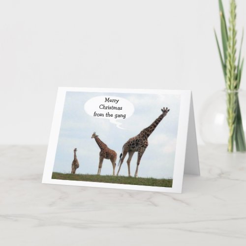 GIRAFFES SAY MERRY CHRISTMAS FROM THE GANG HOLIDAY CARD