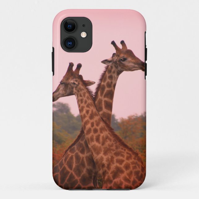 Giraffes standing in mopani trees with pink sky Case-Mate iPhone case (Back)