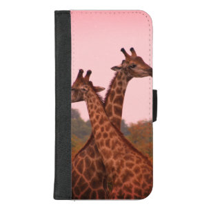 Giraffes standing in mopani trees with pink sky iPhone 8/7 plus wallet case