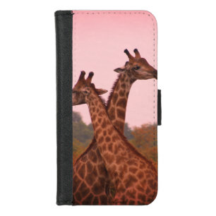 Giraffes standing in mopani trees with pink sky iPhone 8/7 wallet case