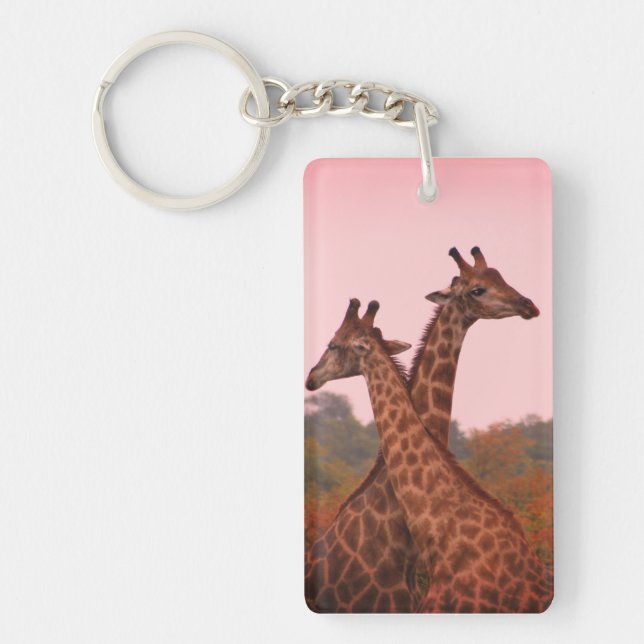 Giraffes standing in mopani trees with pink sky keychain (Front)