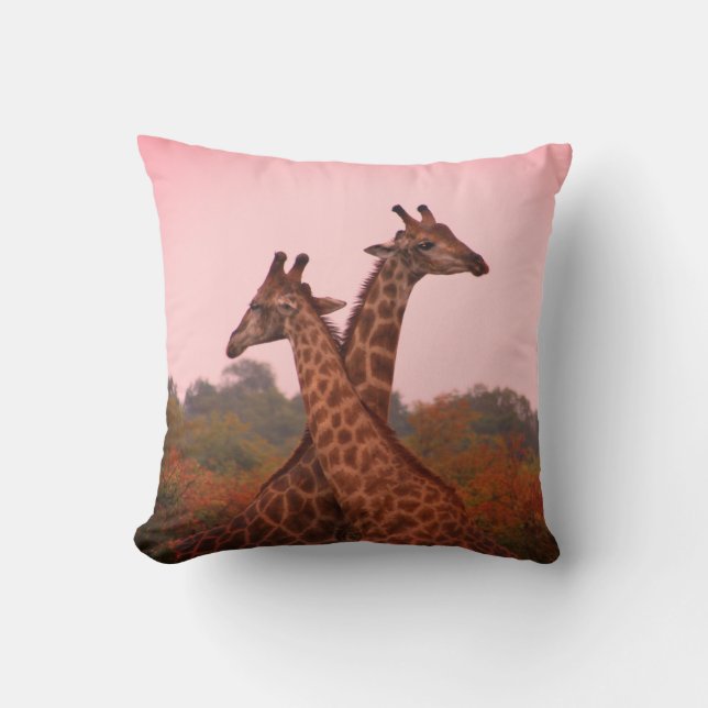 Giraffes standing in mopani trees with pink sky throw pillow (Front)
