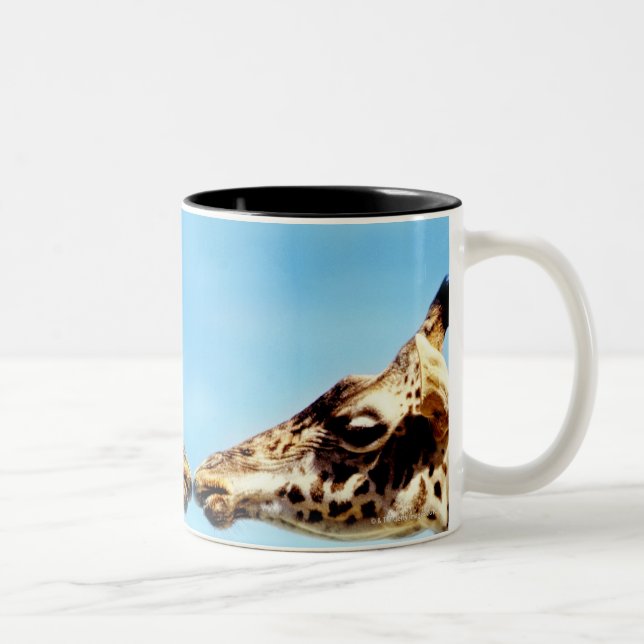Giraffes touching noses Two-Tone coffee mug (Right)