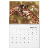 Giraffes Wall Calendar | Zazzle