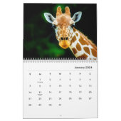 Giraffes Wall Calendar | Zazzle