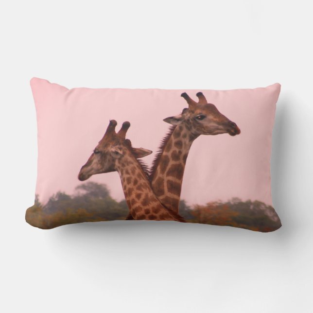 Giraffes with a pink sky  lumbar pillow (Front)