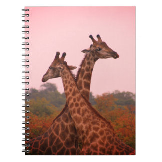 Giraffes with a pink sky notebook