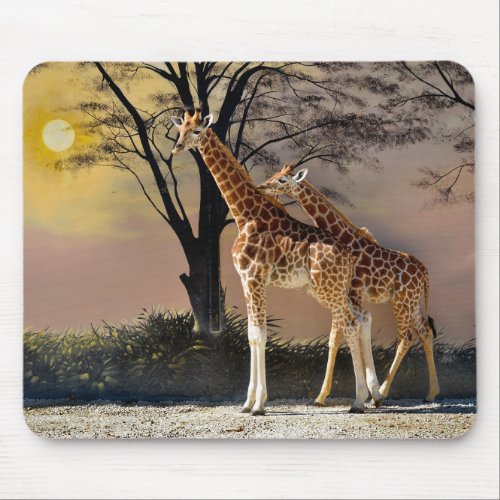 Giraffes with young and trees mouse pad
