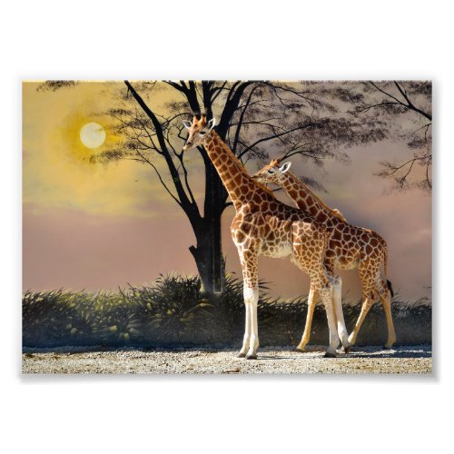 Giraffes with young and trees photo print