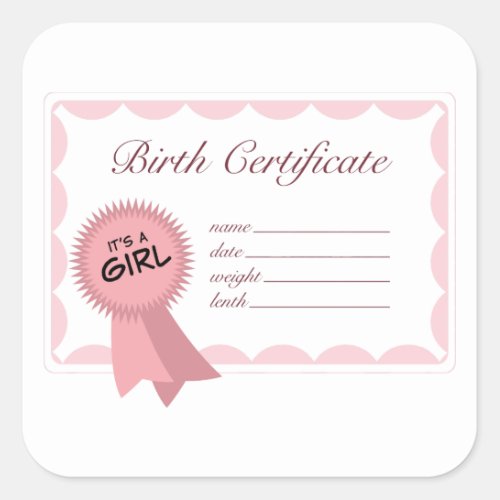 Girl Birth Certificate Square Sticker