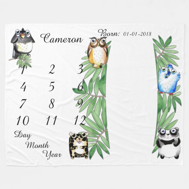 Girl/Boy Baby Milestone Blanket Size 80 x 60 (Front (Horizontal))