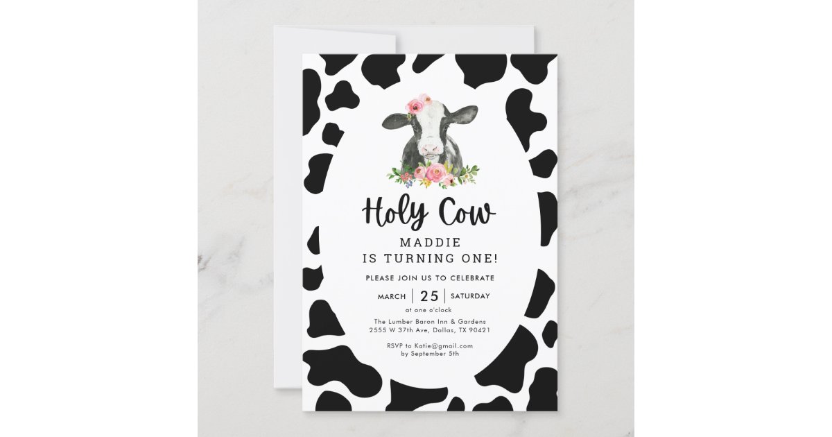 O Holy Cow